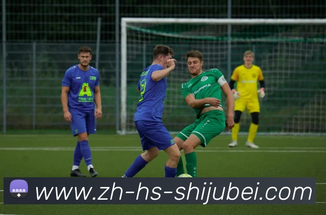 App Interface Preview